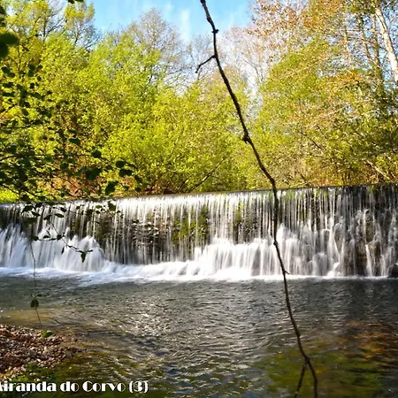 Alojamento de Turismo Rural Serpins Estacao Al