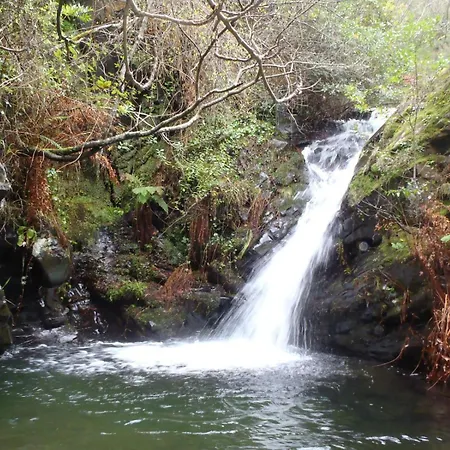 Serpins Estacao Al Lousã