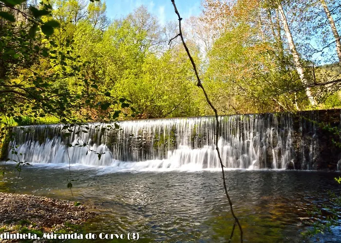 Alojamento de Turismo Rural Serpins Estação Al