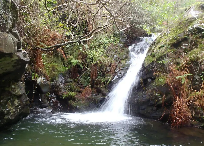 Serpins Estação Al Lousã